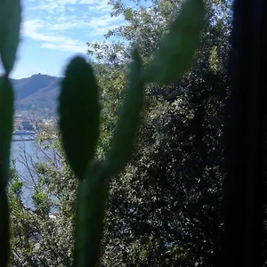 Veranda View Appartamento
