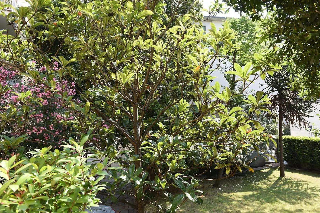 Le Rondinelle Apartment Como
